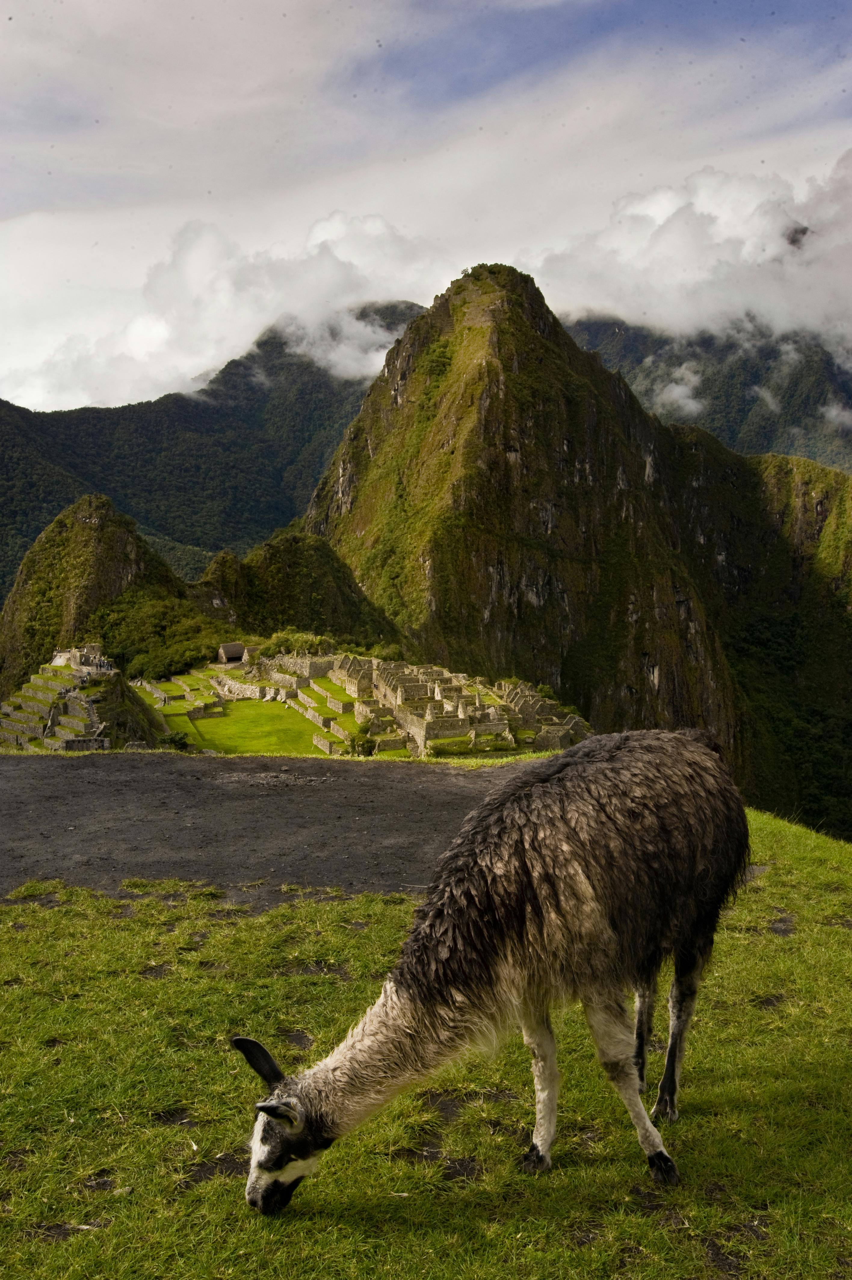 Machu Picchu Express (1 Día)