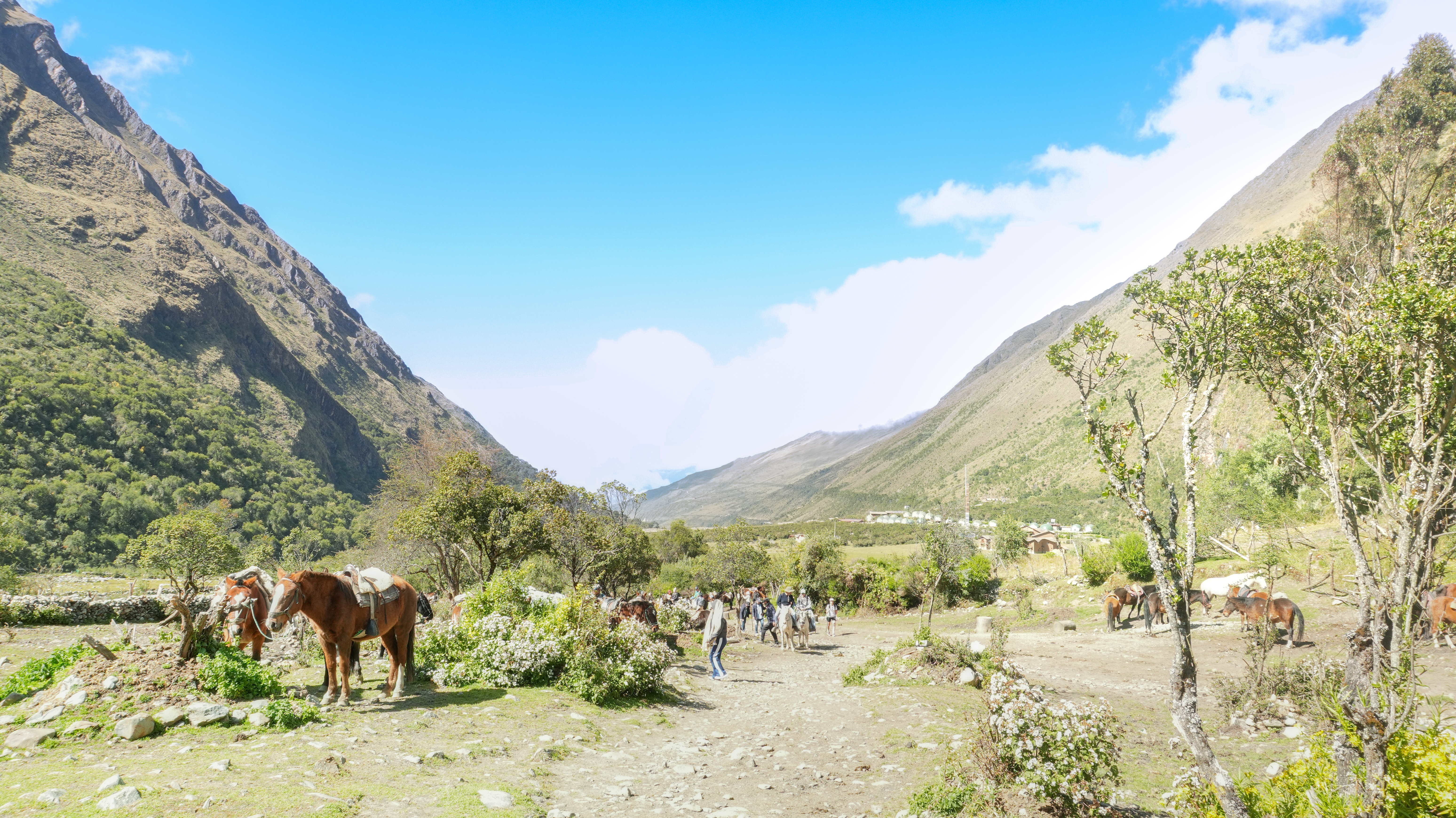 Espejo Turquesa: Tour a la Laguna Humantay en 1 Día