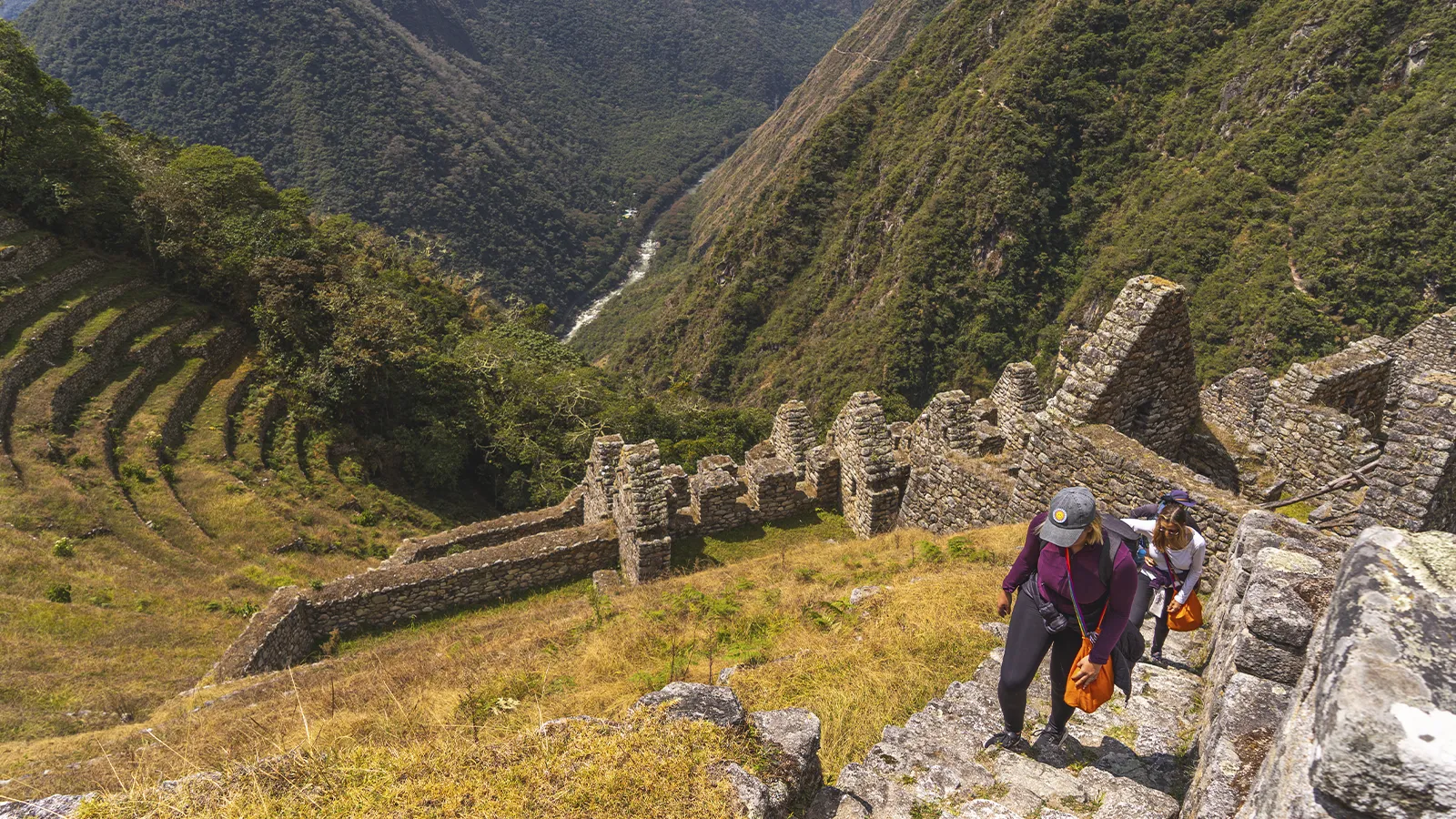 CANIMO INCA 1 DIA 