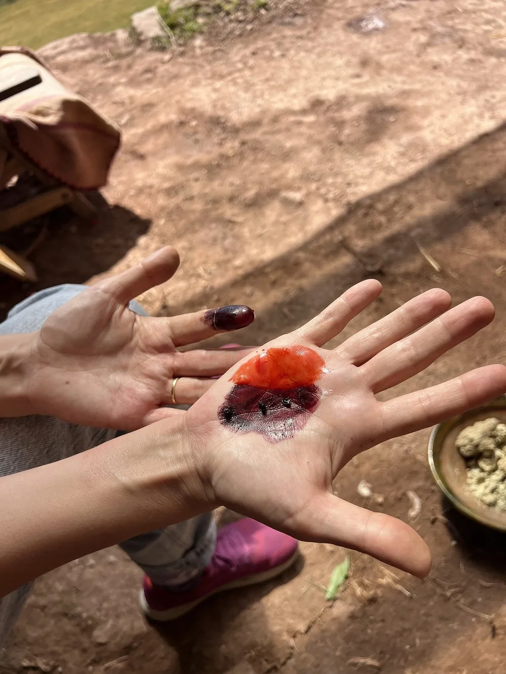 experiencia entre llamas, historia y tradición andina